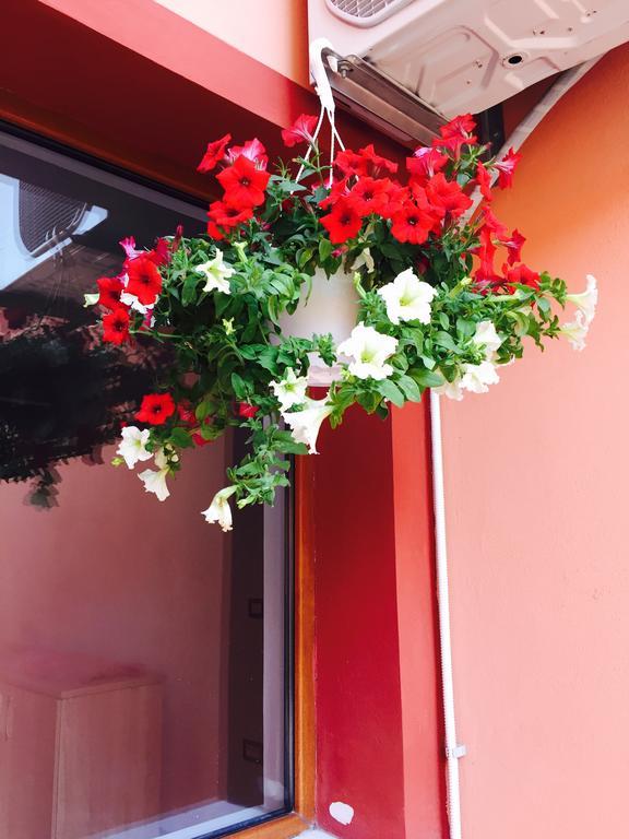 Orange House Constanta 아파트 외부 사진